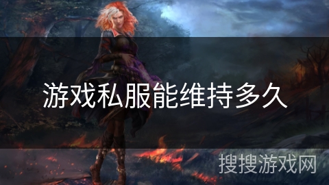 游戏私服能维持多久