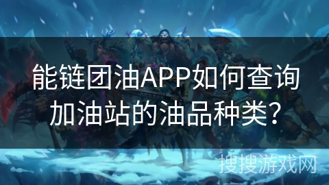 能链团油APP如何查询加油站的油品种类？