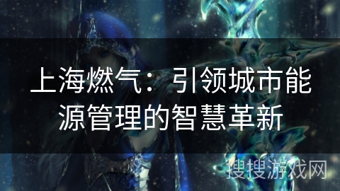 上海燃气：引领城市能源管理的智慧革新
