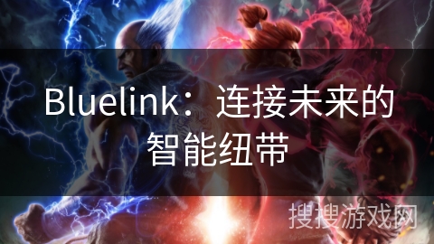 Bluelink：连接未来的智能纽带