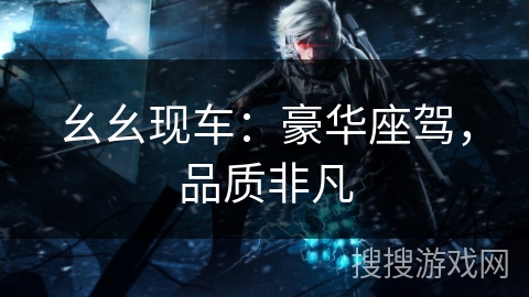 幺幺现车：豪华座驾，品质非凡