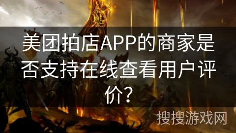 美团拍店APP的商家是否支持在线查看用户评价？
