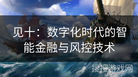 见十:数字化时代的智能金融与风控技术 见十:数字化时代的智能金融与风控技术
