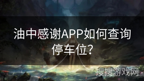 油中感谢APP如何查询停车位？