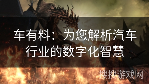 车有料：为您解析汽车行业的数字化智慧