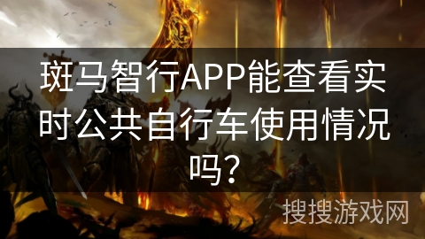 斑马智行APP能查看实时公共自行车使用情况吗？