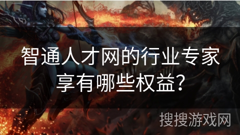 智通人才网的行业专家享有哪些权益？