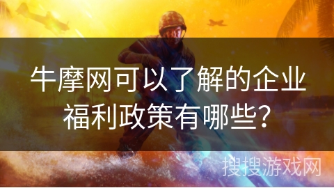 牛摩网可以了解的企业福利政策有哪些？