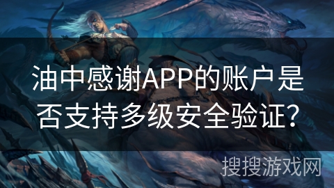 油中感谢APP的账户是否支持多级安全验证？