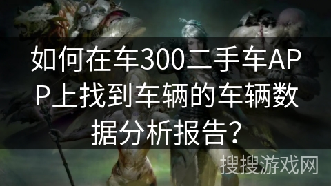 如何在车300二手车APP上找到车辆的车辆数据分析报告？