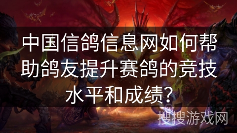 中国信鸽信息网如何帮助鸽友提升赛鸽的竞技水平和成绩？
