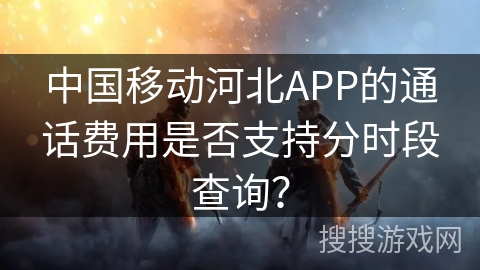 中国移动河北APP的通话费用是否支持分时段查询？