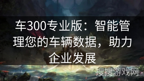 车300专业版:智能管理您的车辆数据,助力企业发展 车300专业版:智能管理您的车辆数据,助力企业发展