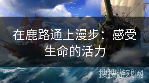 在鹿路通上漫步:感受生命的活力 在鹿路通上漫步:感受生命的活力