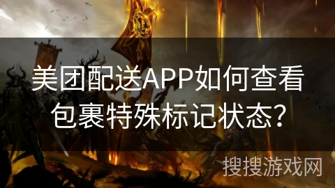 美团配送APP如何查看包裹特殊标记状态? 美团配送APP如何查看包裹特殊标记状态?
