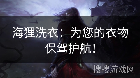 海狸洗衣：为您的衣物保驾护航！