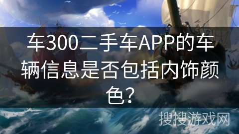 车300二手车APP的车辆信息是否包括内饰颜色？