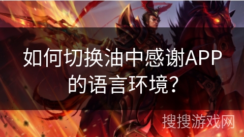 如何切换油中感谢APP的语言环境？