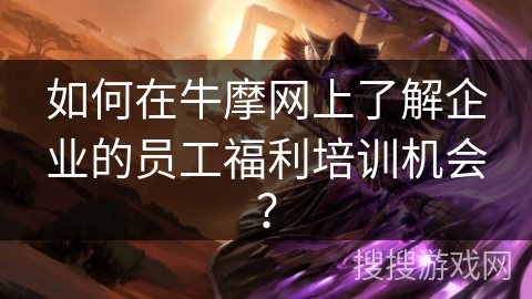 如何在牛摩网上了解企业的员工福利培训机会？