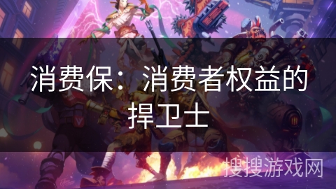 消费保：消费者权益的捍卫士