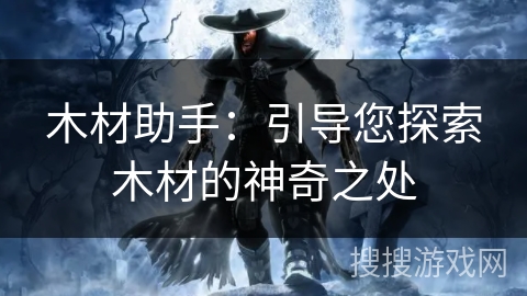 木材助手：引导您探索木材的神奇之处