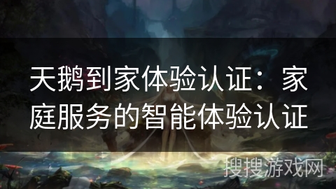 天鹅到家体验认证：家庭服务的智能体验认证