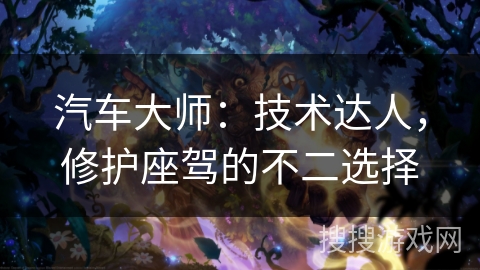 汽车大师：技术达人，修护座驾的不二选择