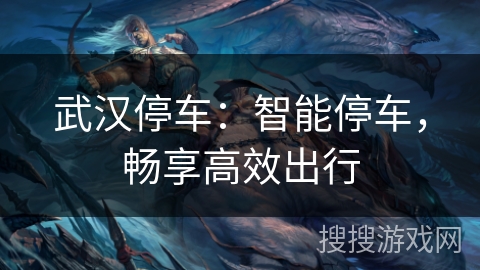 武汉停车：智能停车，畅享高效出行