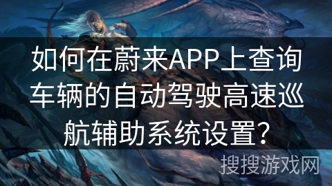 如何在蔚来APP上查询车辆的自动驾驶高速巡航辅助系统设置？