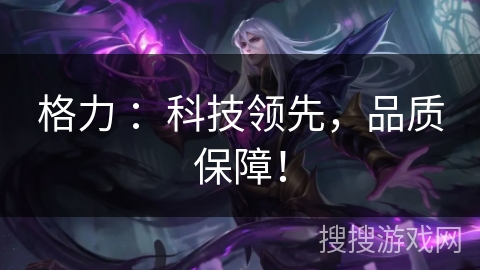 格力 ：科技领先，品质保障！