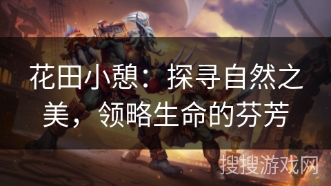 花田小憩：探寻自然之美，领略生命的芬芳