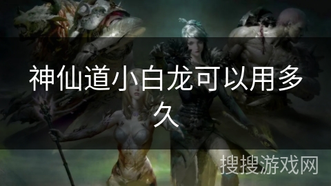 神仙道小白龙可以用多久 神仙道小白龙可以用多久