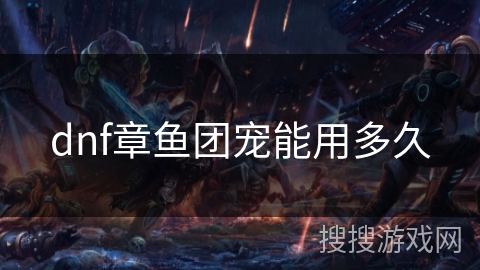 dnf章鱼团宠能用多久