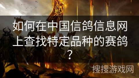 如何在中国信鸽信息网上查找特定品种的赛鸽？