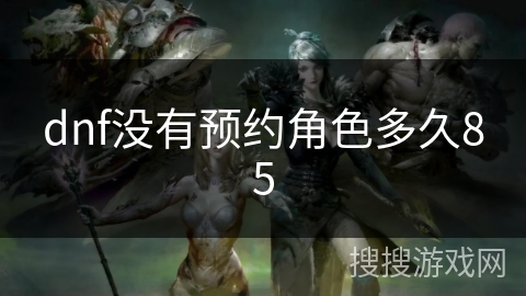 dnf没有预约角色多久85