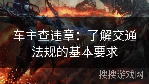 车主查违章：了解交通法规的基本要求