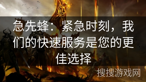 急先蜂：紧急时刻，我们的快速服务是您的更佳选择