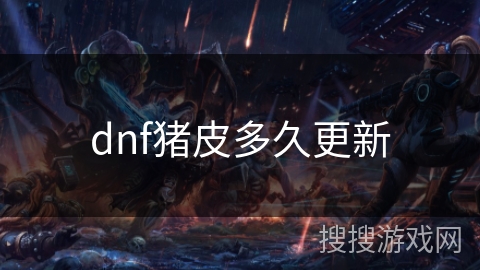 dnf猪皮多久更新