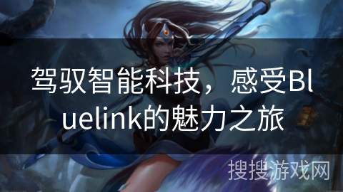 驾驭智能科技，感受Bluelink的魅力之旅