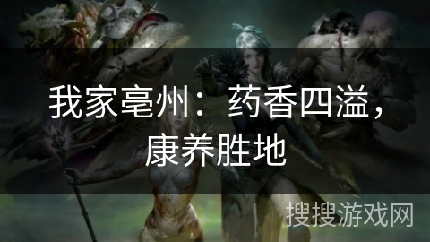 我家亳州：药香四溢，康养胜地