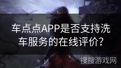 车点点APP是否支持洗车服务的在线评价？