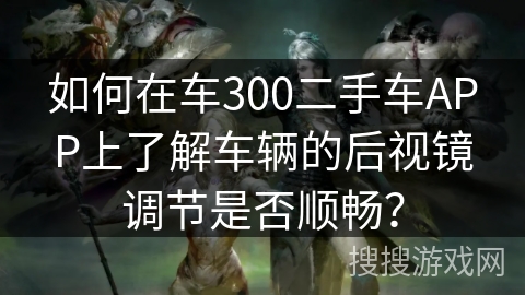 如何在车300二手车APP上了解车辆的后视镜调节是否顺畅？