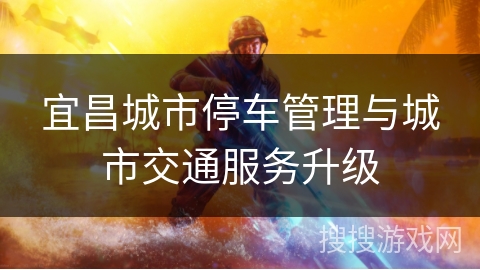 宜昌城市停车管理与城市交通服务升级