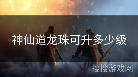 神仙道龙珠可升多少级