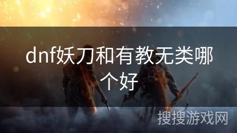 dnf妖刀和有教无类哪个好