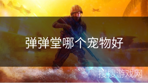 弹弹堂哪个宠物好