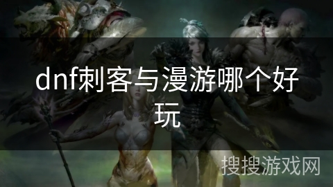 dnf刺客与漫游哪个好玩