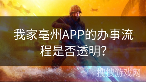 我家亳州APP的办事流程是否透明？