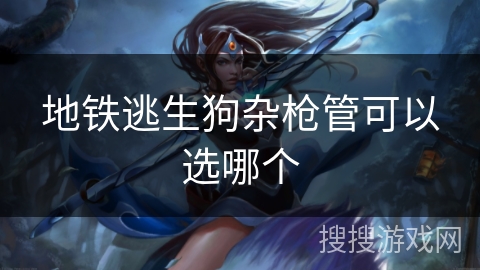 地铁逃生狗杂枪管可以选哪个