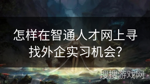 怎样在智通人才网上寻找外企实习机会？